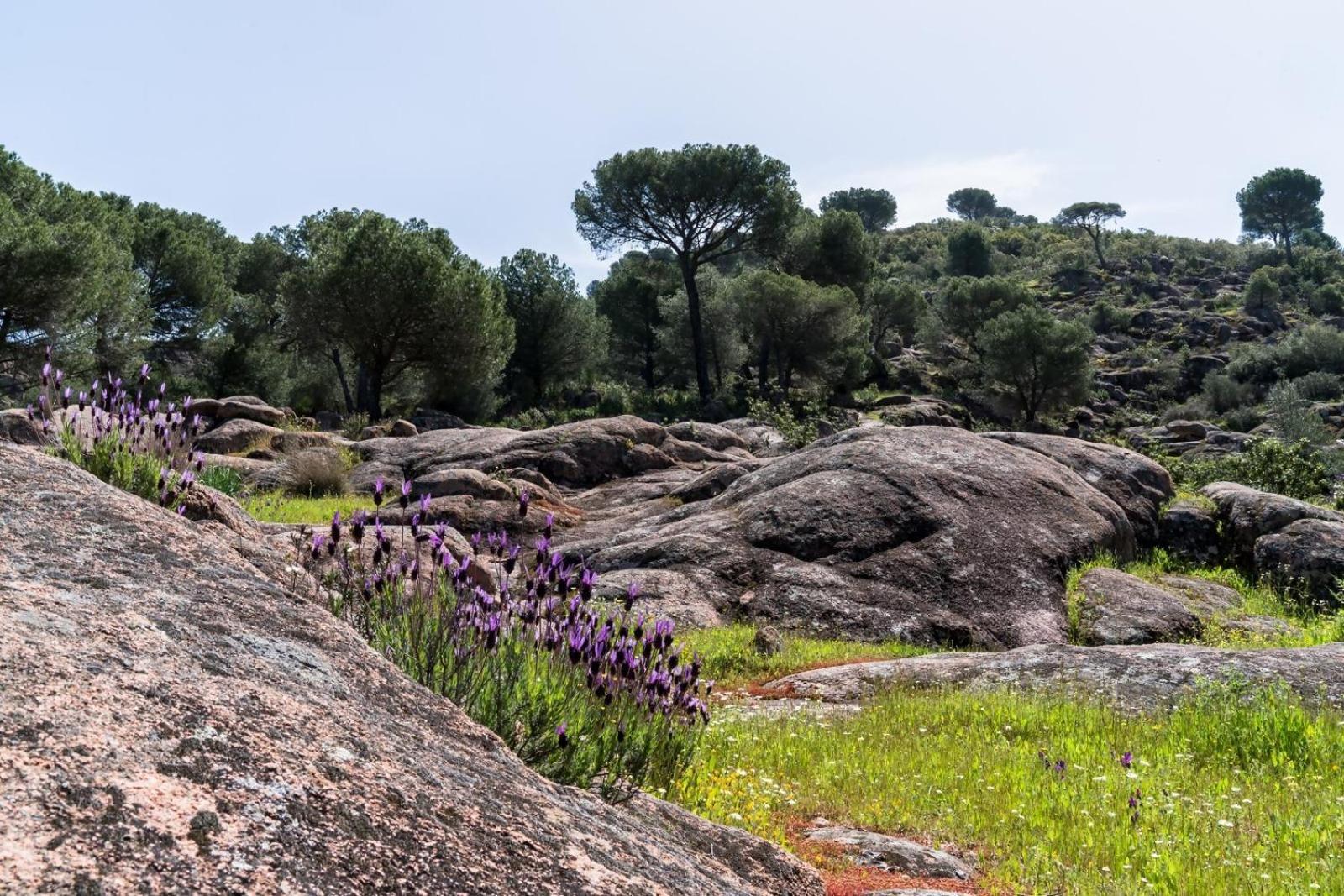 Casa El Paraiso Del Lago Alojamiento Rural Córdoba Eksteriør billede